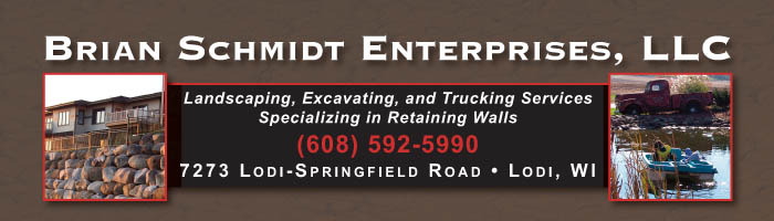 Brian Schmidt Enterprises